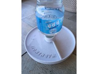 Mangiatoia beverino per tartarughe