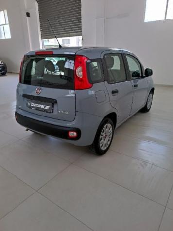 FIAT Panda 1.0 FireFly S&S Hybrid i.e rif. 23493924 - Foto 5