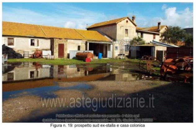 IMMOBILI-ALTRA CATEGORIA-Str. 9 Ovest, 5, 09092 Arborea OR, Italia - Foto 6