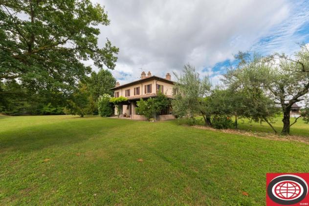 CALISESE di Cesena - VILLA in OTTIMO STATO con AMPIO PARCO PRIVATO ( 16.025 mq. ) - UNICA !! - Foto 18