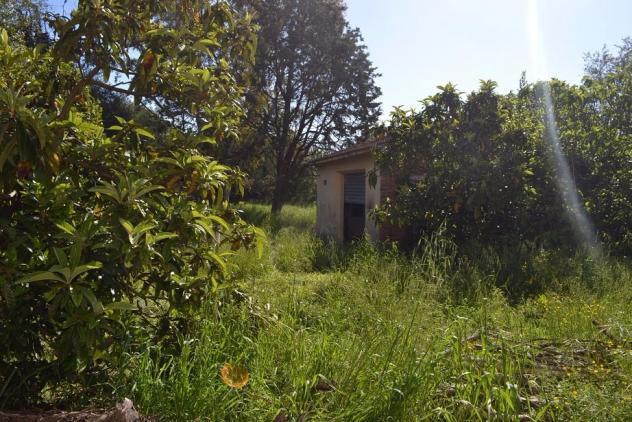 Terratetto in vendita a Pregiuntino - Santa Maria a Monte 130 mq Rif: 545273 - Foto 2