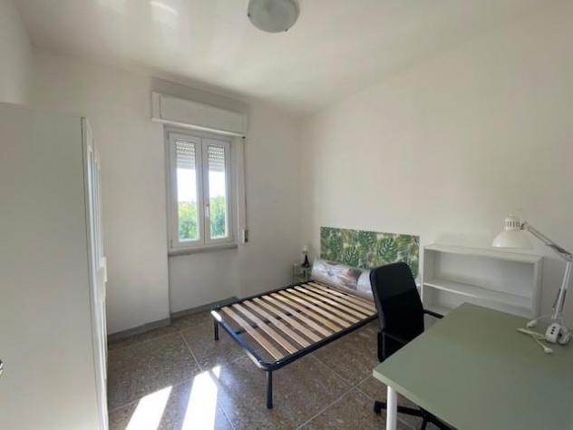 Stanza/Posto Letto in affitto a Pisa 14 mq Rif: 1167628