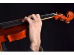 Violinista a Parma