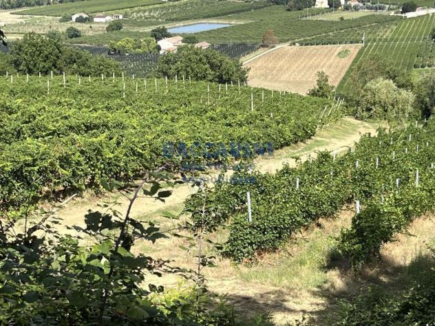 PODERE AGRICOLO CON CAPANNONE - BRISIGHELLA - FAENZA - VIA AGELLO E SANDRONA - Foto 9