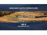 Immobile in asta di 2072 m² in vendita a Gagliano Castelferrato