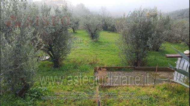 IMMOBILI-ALTRA CATEGORIA-06035 Pozzo PG, Italia - Foto 2