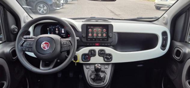 FIAT Panda 3ª serie Panda 1.0 FireFly S&S Hybrid Pandina - Foto 9