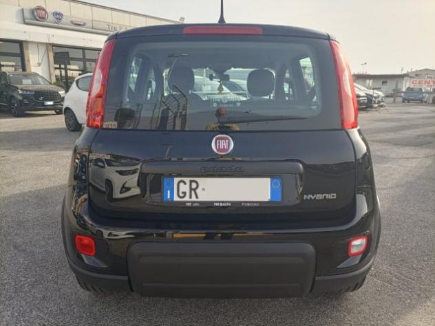FIAT Panda 1.0 FireFly Hybrid ANDROID/CARP UNIPROPRIETARIO!! rif. 23937447 - Foto 7