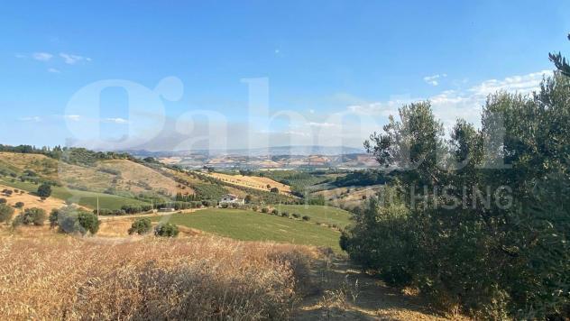 Terreno Agricolo - Roseto degli Abruzzi . Rif.: Cod. rif A132VRG - Foto 8