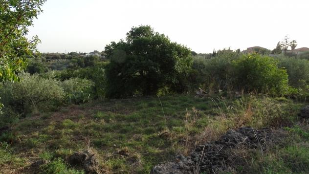 Area verde in vendita a Mascalucia - Foto 9
