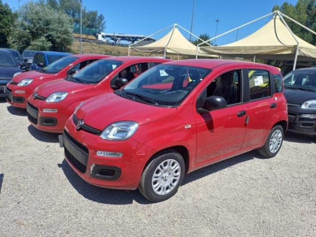 FIAT New Panda 1000 HYBRID 70 CV PDC ITALIA rif. 23993218 - Foto 3