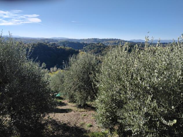 Bungalow in vendita a Peccioli 20 mq Rif: 1353834 - Foto 8