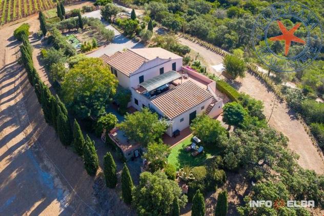 PORTO AZZURRO - ELBA - TRILOCALE IN CASALE - Foto 4