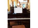 Pianista classico e swing