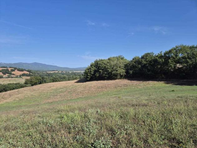 Seminativo in vendita a Civitella Paganico - Foto 4
