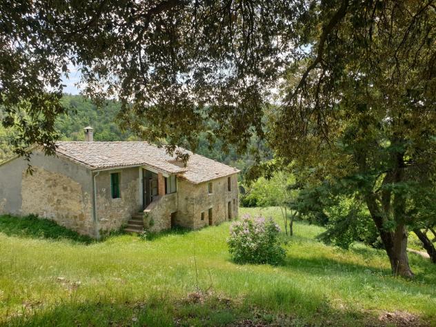 Casale in vendita a Orvieto - Foto 4