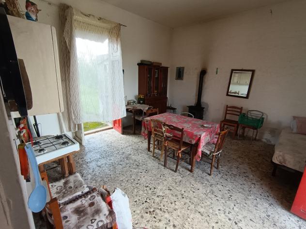 Uliveto in vendita a Paternò - Foto 9