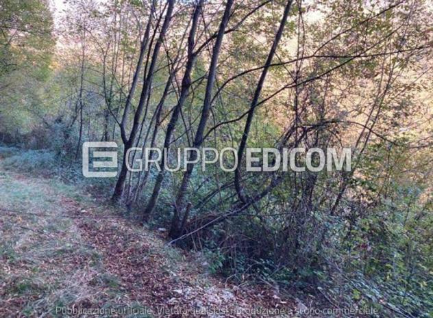 Terreno di 4314 mq in vendita a Segusino - Rif. 4556210 - Foto 2