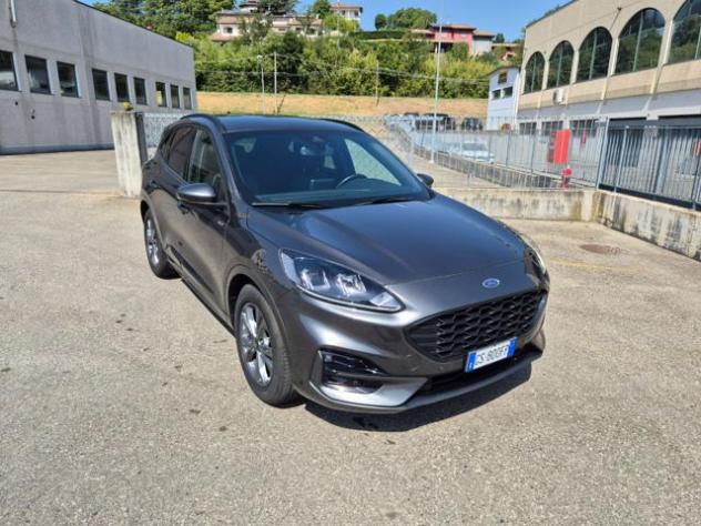 FORD Kuga 2.0 EcoBlue 120 CV aut. 2WD ST-Line rif. 24000036 - Foto 5