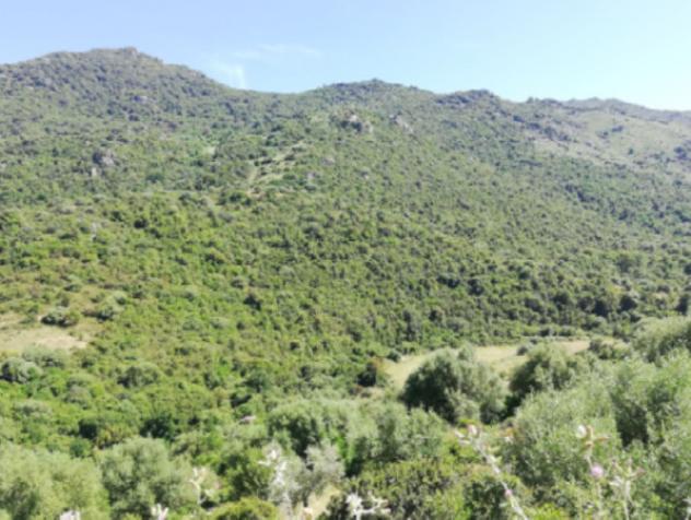 Immobile in asta di 183 m² in vendita a Austis - Foto 9