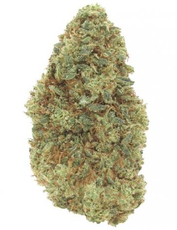 Super Lemon Zest