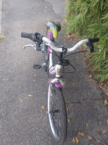 Bici Bimba Bottecchia ruota 20 - Foto 4