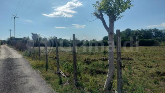Prato in affitto a Giugliano in Campania