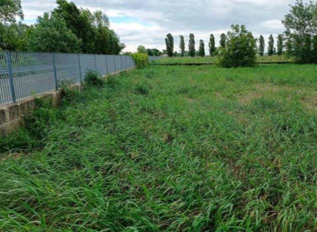 Immobile in asta di 12899 m² in vendita a Correggio - Foto 7