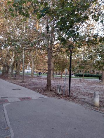 Locale comm.le/Fondo in affitto a Pisa 110 mq Rif: 1292959
