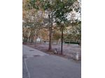 Locale comm.le/Fondo in affitto a Pisa 110 mq  Rif: 1292959