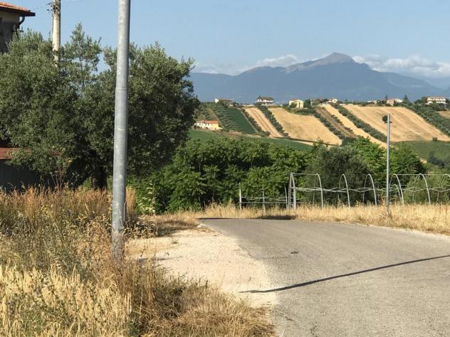 Agricolo in vendita a Colonnella - Foto 10