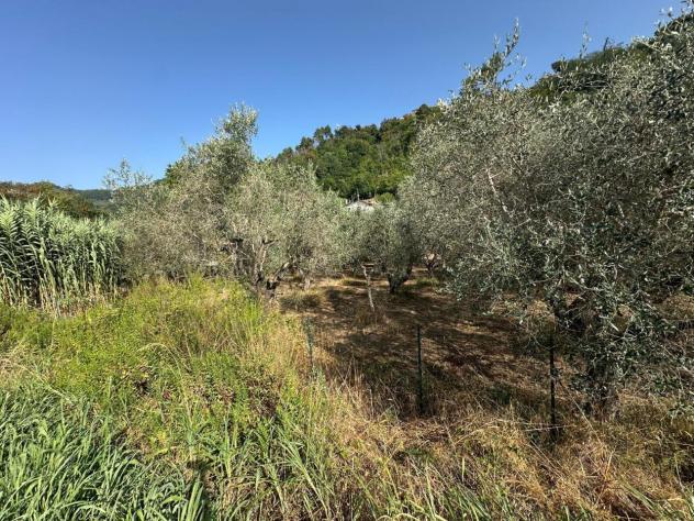 Terreno edificabile in vendita a Luni - Foto 2