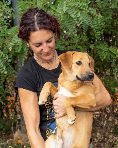 BOBBY, 6 MESI E MEZZO (14/03/26), TAGLIA MEDIA, TROVATO VAGANTE PER LA PIAZZA - Foto 5