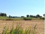 Terreno agricolo in vendita a Cecina Marina - Cecina 3170 mq  Rif: 1335116