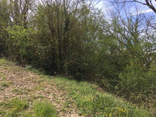 Immobile in asta di 22290 m² in vendita a Chianche - Foto 3