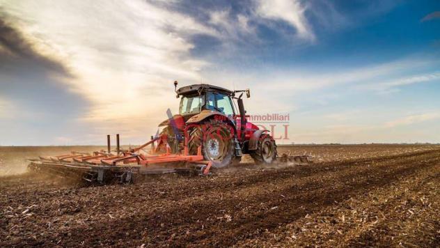 FIUMICINO, CASALE CON TERRENO AGRICOLO IN VENDITA - Foto 8