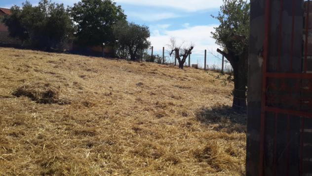 TERRENO AGRICOLO di 1300 mq (POMEZIA) rif. C/305 - Foto 20