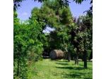 Azienda Agrituristica Tenuta Pedale