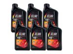 Olio Motore Selenia WR 5W40 6L Lubrificante Sintetico Auto Diesel Euro 4