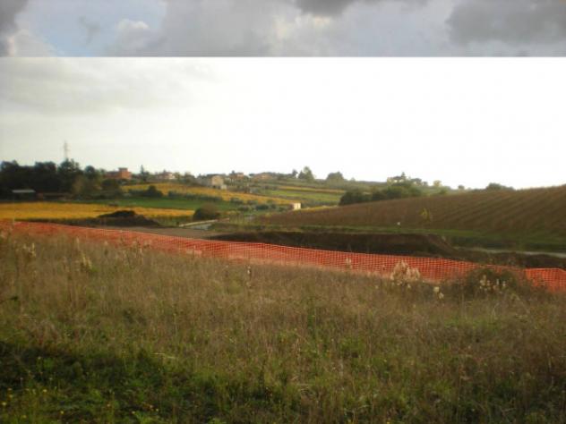 Immobile in asta di 37260 m² in vendita a Ariccia - Foto 5
