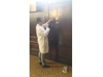 Stai per effettuare un trasloco