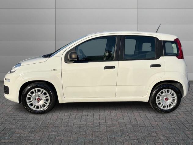 FIAT Panda 1.0 70cv S&S Hybrid Easy - Foto 2
