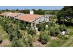 Villa in vendita a Bibbona