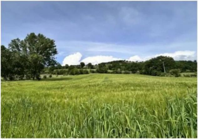 Immobile in asta di 10706 m² in vendita a Gubbio - Foto 5