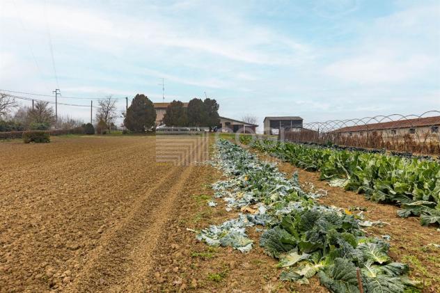 PODERE CON TERRENO AGRICOLO, LAGHETTO E DUE ABITAZIONI INDIPENDENTI - Foto 18