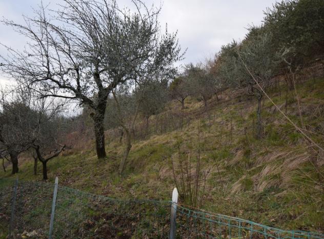 TERRENO AGRICOLO di 4807 mq (MONTEBELLUNA) rif. ZT38G_49 - Foto 11