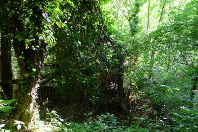 Rustico in vendita a Sassello - Foto 18