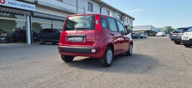 FIAT Panda 3ª serie Panda 1.0 FireFly S&S Hybrid - Foto 5