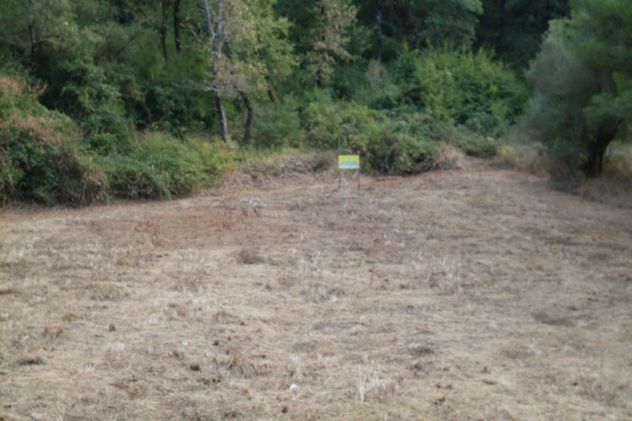 Fonte di Roccadaspide terreno agricolo - Foto 8