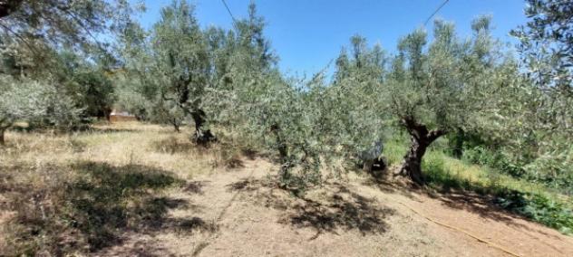 Immobile in asta di 2983 m² in vendita a Bellante - Foto 9